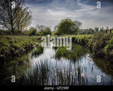 Im Land Stockfoto