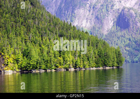 Querformat Fichtenwald Gletscher geformten Klippen Misty Fjords National Monument Inside Passage Southeast Alaska USA Stockfoto