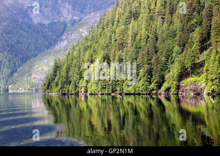 Querformat Fichtenwald Gletscher geformten Klippen Misty Fjords National Monument Inside Passage Southeast Alaska USA Stockfoto