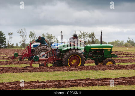 Prince Edward Island, Kanada, Aug 27,2016. Konkurrenten auf der Prince Edward Insel Pflügen Match & Landwirtschaftsmesse Stockfoto