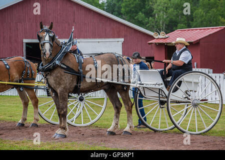 Prince Edward Island, Kanada, Aug 27,2016. Konkurrenten auf der Prince Edward Island Pflügen Match & Agricultural Fair zeigen Stockfoto