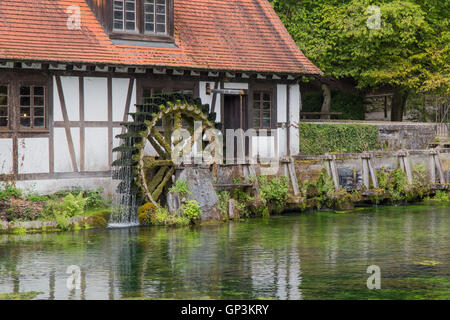 Blautopf Stockfoto