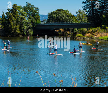 Paddel-Boarder auf Napa River in Kalifornien Napa Stockfoto