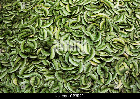 Gemüsemarkt (DevrajaMarket) in Mysore, Karnataka, Indien Stockfoto