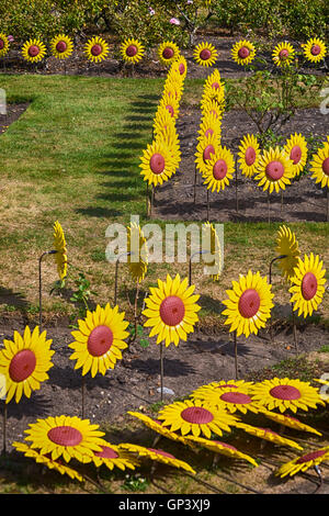 Eine ergreifende Darstellung von 1000 handgefertigten Metall- und Sonnenblumen gepflanzt in Poole Park im September Stockfoto