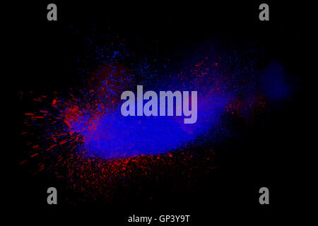 Frieren Sie Bewegung der roten und blauen Pulver explodiert, isoliert auf schwarz, dunklen Hintergrund. Abstrakte Muster der Staubwolke. Partikel-exp Stockfoto