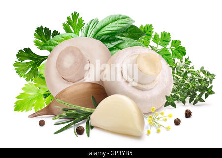 Champignons (Agaricus Bisporus) für Beizen mit Kräutern und Knoblauch. Schneidepfad, Schatten getrennt. Design-Elemente Stockfoto