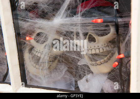 Dekorative Halloween Skelette Blick durch Fenster Stockfoto