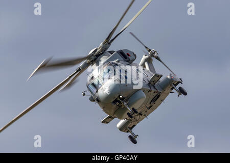 Royal Navy EH Industries (AgustaWestland) EH-101 Merlin mittlere Aufzug Militärhubschrauber Stockfoto