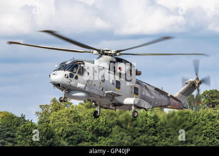 Royal Navy EH Industries (AgustaWestland) EH-101 Merlin mittlere Aufzug Militärhubschrauber Stockfoto