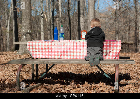 Junge sitzt an Picknick-Tisch, Rückansicht Stockfoto