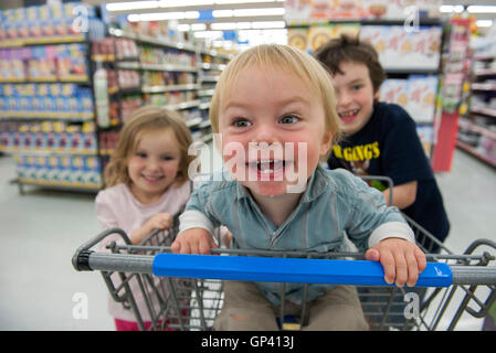 Kinder haben Spaß im Warenkorb Stockfoto
