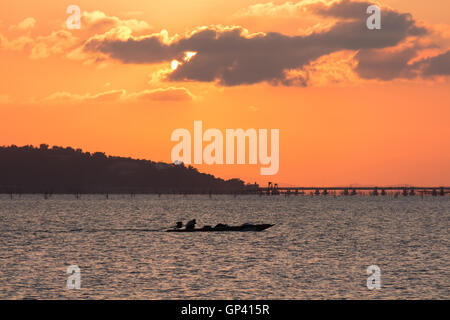 Wolken, Himmel, bunte, gestuften, konvektive, Stratus, Cumulus, Cirrus, Alto, Nimbus Wolke aus rot, Orange, rosa, Sonnenaufgang, Sonnenuntergang, Stockfoto