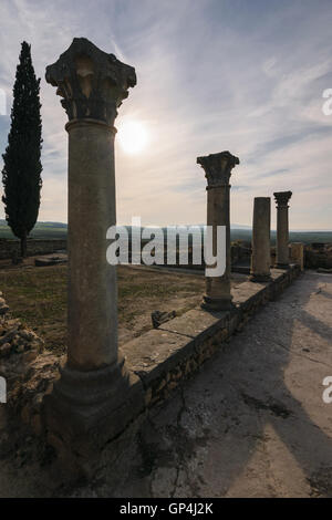 Säulen der römischen Ruinen, Volubilis, Marokko Stockfoto