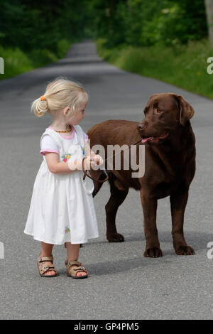 Kleines Mädchen, 2 Jahre alt, für einen Spaziergang mit einem Hund, braune Labrador Retriever, Deutschland Stockfoto