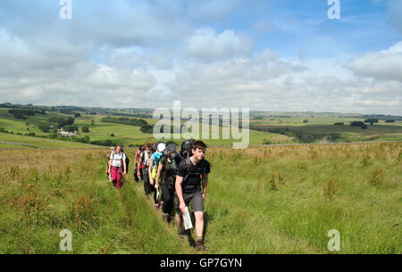 Wanderer auf einem öffentlichen Weg auf den oberen Reichweiten der Lathkill Dale in der Nähe von Youlgrave in der Peak District National Park, UK - Juli Stockfoto