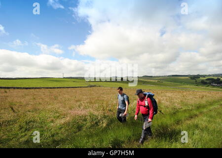 Wanderer auf einem öffentlichen Weg auf der oberen Reichweiten der Lathkill Dale in der Nähe von Youlgrave in der Peak District National Park, UK - Juli Stockfoto