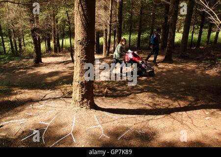 Die fühlenden Wald; eine LED leuchtet-Kunstinstallation von Künstlerin Andrea Roe auf dem Scultpture Trail im Forest of Dean, UK Stockfoto