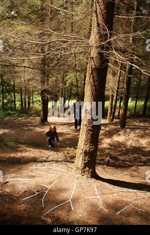 Die fühlenden Wald; eine LED leuchtet-Kunstinstallation von Künstlerin Andrea Roe auf dem Scultpture Trail im Forest of Dean, UK Stockfoto