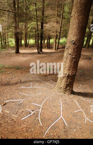 Die fühlenden Wald; eine LED leuchtet-Kunstinstallation von Künstlerin Andrea Roe auf dem Scultpture Trail im Forest of Dean, UK Stockfoto