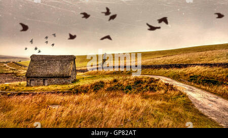 alten Schuppen am See Stockfoto