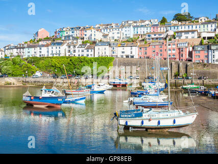 Brixham Hafen Brixham Devon - Yachten und Fischerboote Brixham Hafen Brixham Devon England GB Europa Stockfoto