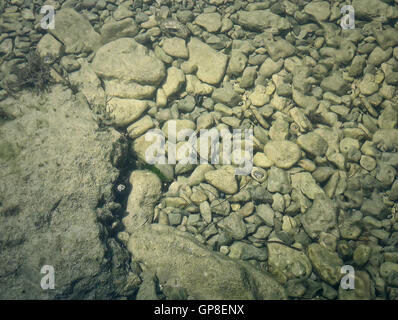 Unterwasser Textur mit dem Licht auf einen felsigen Meeresboden mit Stein Stockfoto