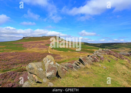 Heideland führt zu Higger Tor von den Wällen der Carl Wark auf Hathersage Moor, Peak District National Park, South Yorkshire, England, UK. Stockfoto