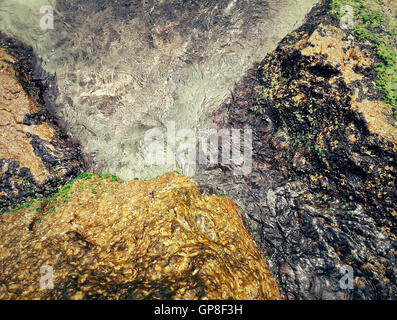 Unterwasser Textur mit dem Licht auf einen felsigen Meeresboden mit Stein und Moos Stockfoto