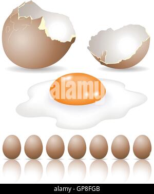 viele Eier zum Frühstück isoliert auf weiss Stock Vektor