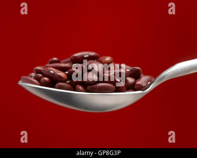 Rote Kidney-Bohnen auf Löffel Stockfoto