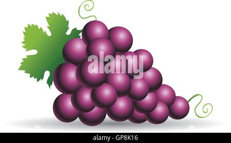 Lila Trauben mit grünen Blättern, die isoliert auf weiss Stock Vektor