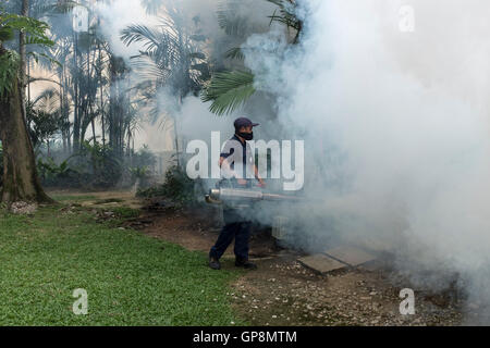 Ein Arbeiter Nebel gegen Mücken um eine Eigentumswohnung in Kuala Lumpur, Malaysia. Stockfoto