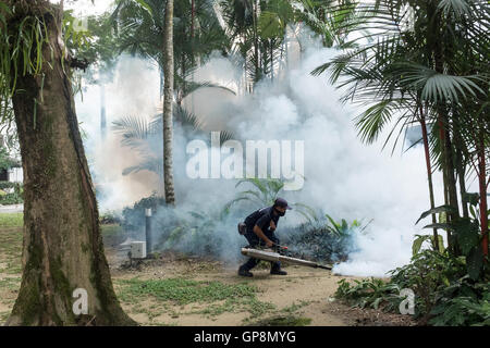 Ein Arbeiter Nebel gegen Mücken um eine Eigentumswohnung in Kuala Lumpur, Malaysia. Stockfoto