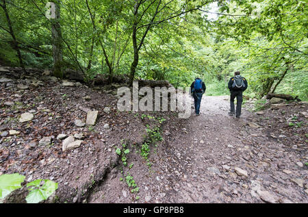 Bonndorf, Deutschland. 13. Juli 2016. Zwei Wanderer Fuß in die Wutachschlucht in Bonndorf, Deutschland, 13. Juli 2016. Foto: Patrick Seeger/Dpa/Alamy Live News Stockfoto