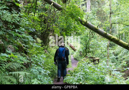 Bonndorf, Deutschland. 13. Juli 2016. Zwei Wanderer Fuß in die Wutachschlucht in Bonndorf, Deutschland, 13. Juli 2016. Foto: Patrick Seeger/Dpa/Alamy Live News Stockfoto