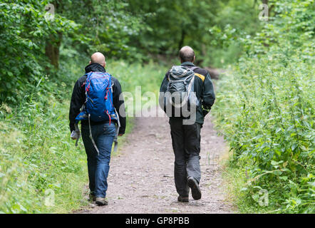 Bonndorf, Deutschland. 13. Juli 2016. Zwei Wanderer Fuß in die Wutachschlucht in Bonndorf, Deutschland, 13. Juli 2016. Foto: Patrick Seeger/Dpa/Alamy Live News Stockfoto