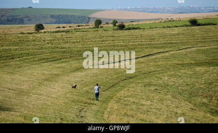 Devils Dyke Brighton UK 3. September 2016 - eine Dogwalker genießt einen schönen warmen sonnigen Morgen auf der South Downs am Devils Dyke in der Nähe von Brighton, aber das Wetter wird voraussichtlich im Laufe des Tages Credit in ganz Großbritannien nass werden: Simon Dack/Alamy Live News Stockfoto