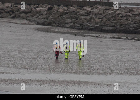 Morecambe Bay, Lancashire, UK. 3. Sep, 2016. Küstenwache und Rettungsboot Suche nach vermisster Person in Morecambe Bay Credit: David Billinge/Alamy Live News Stockfoto