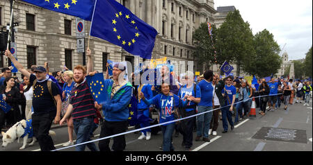 London, UK. 3. Sep, 2016. Menschen mit EU-Flaggen und Fahnen demonstrieren gegen das Vereinigte Königreich aus der EU am Westminster Square in London, UK, 3. September 2016. Foto: CHRISTOPH MEYER/DPA/Alamy Live-Nachrichten Stockfoto