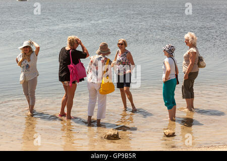 Sechs Damen Paddeln im Meer, Mozia, Sizilien, Italien Stockfoto