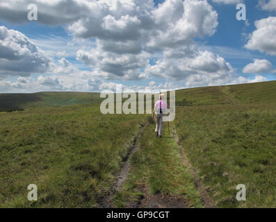 Der Hügel-Weg zum Dunsop Head in den Wald von Bowland Stockfoto