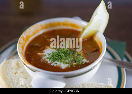 Eine Schüssel Soljanka Suppe serviert in Dresden, Deutschland. Das Gericht hat russische Wurzeln. Stockfoto