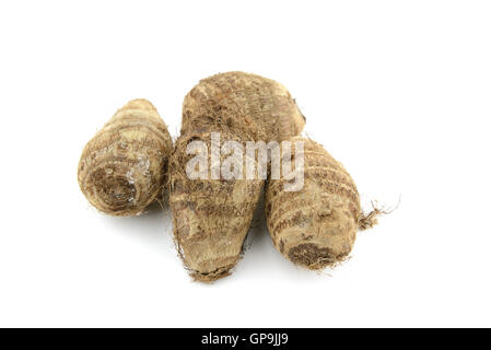 Haufen von kleinen braunen Taro mit Wurzelhaare auf weißen Hintergrund isoliert Stockfoto