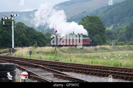 Dampfzug auf der Llagollen-Bahn, Gala-Wochenende. Stockfoto