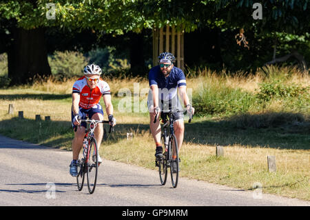 Radfahrer in Richmond Park auf Sawyers Hill, London England Vereinigtes Königreich UK Stockfoto