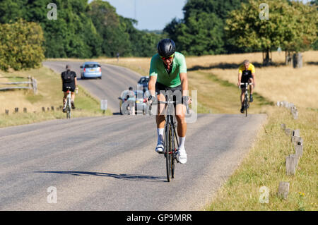 Radfahrer in Richmond Park auf Sawyers Hill, London England Vereinigtes Königreich UK Stockfoto