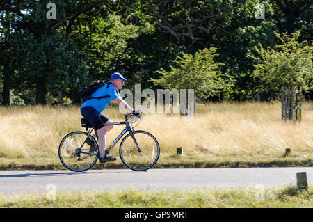 Radfahrer in Richmond Park auf Sawyers Hill, London England Vereinigtes Königreich UK Stockfoto