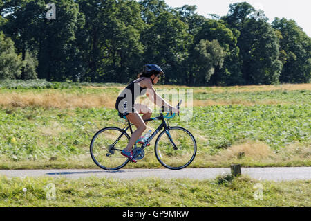 Radfahrer in Richmond Park auf Sawyers Hill, London England Vereinigtes Königreich UK Stockfoto