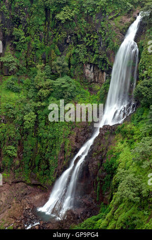 Das Bild der Thoseghar Wasserfall in Satara, Maharashtra, Western Ghats, Monsun, Indien Stockfoto